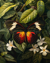 Laden Sie das Bild in den Galerie-Viewer, Diamond Painting - Heliconius Erato Schmetterling