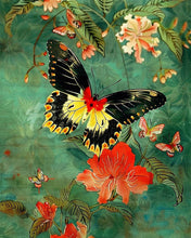 Laden Sie das Bild in den Galerie-Viewer, Diamond Painting - Troide Minos Schmetterling