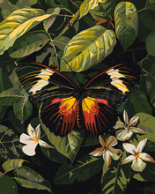 Laden Sie das Bild in den Galerie-Viewer, Malen nach Zahlen Figured&#39;Art – Heliconius Erato Schmetterling