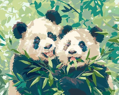 Malen nach Zahlen Figured'Art – Pandas, die Bambus essen