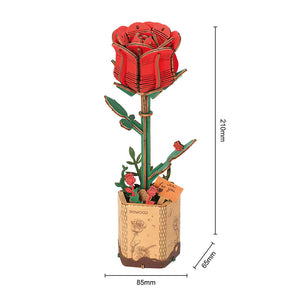 3D Puzzle - Rote Rose