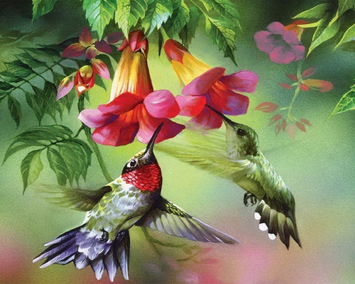 Diamond Painting – Colibris und ihre Blumen