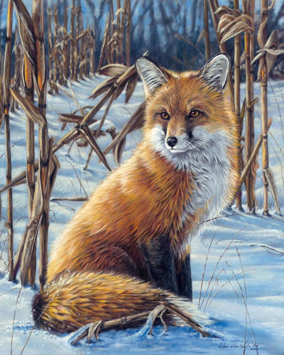 Malen nach Zahlen für Erwachsene | Fuchs im Schnee | Figured'Art