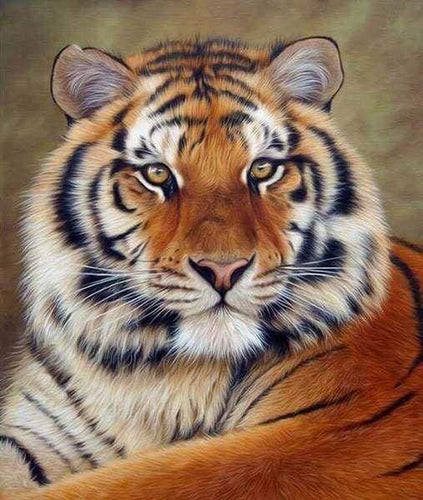 Diamond Painting – Tigerauge – 40 x 50 cm auf Keilrahmen gespannt | Figured'Art