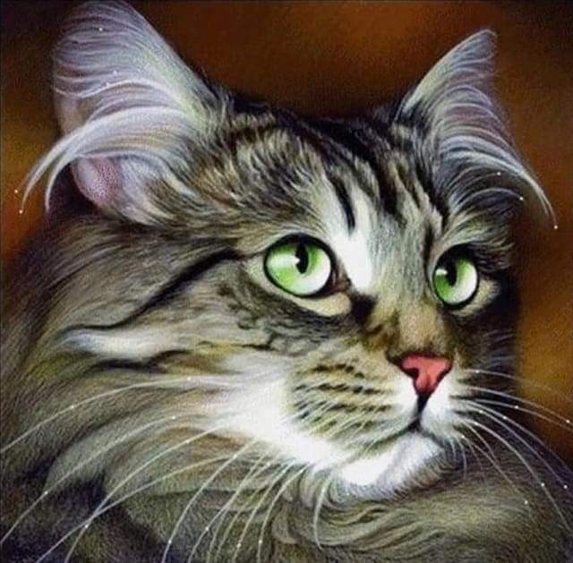 Diamond Painting, Katze Porträt