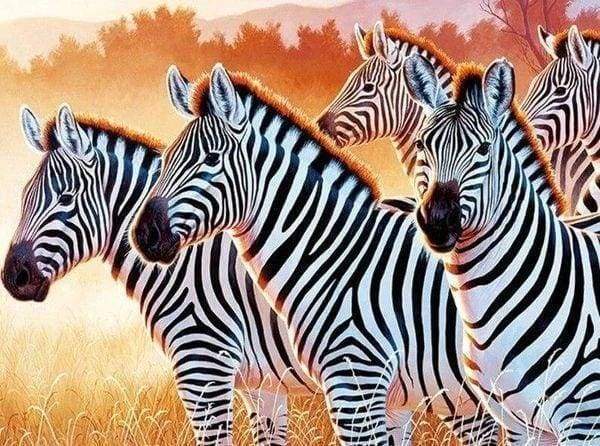 Diamond Painting, Zebrafamilie